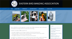 Desktop Screenshot of easternbirdbanding.org